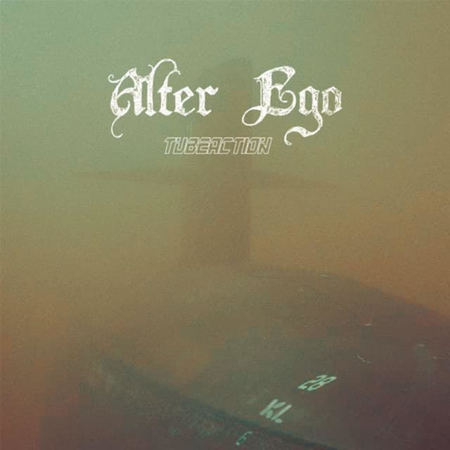 Tubeaction - Losoul's Serial Biller on Rocky Beech Remix cover art