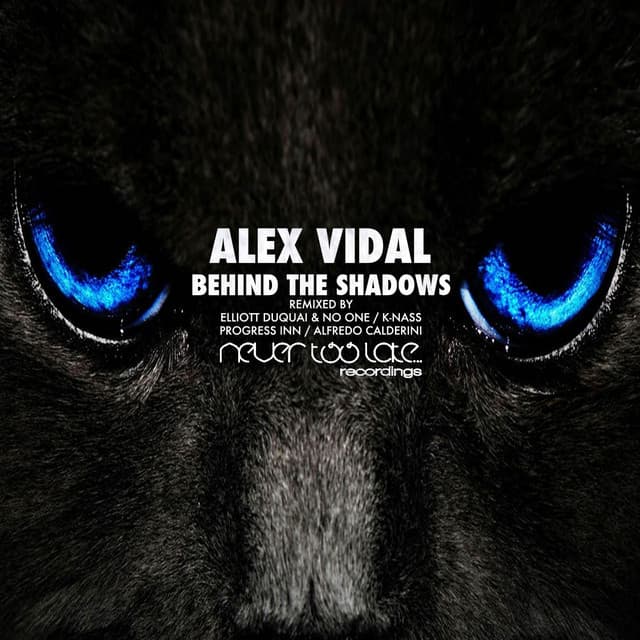 Behind the Shadows - K Nass Remix cover art