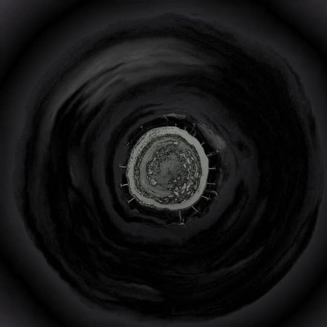 Campo Magnetico cover art