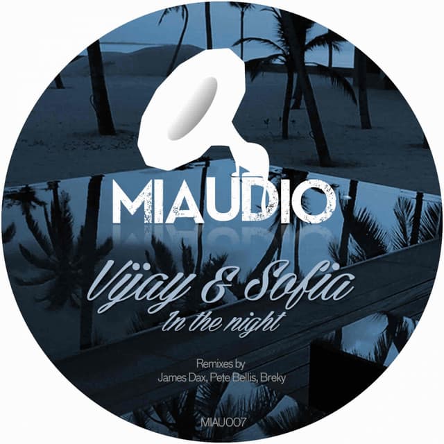 In The Night - Original Mix cover art