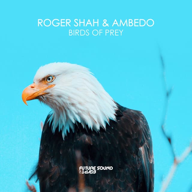Birds Of Prey cover art