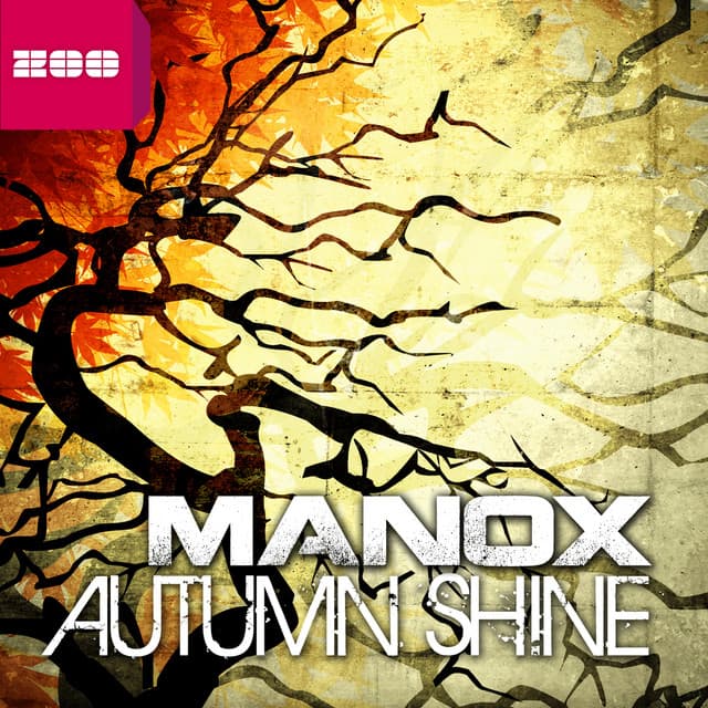 Autumn Shine - Dancefloor Kingz Radio Edit cover art