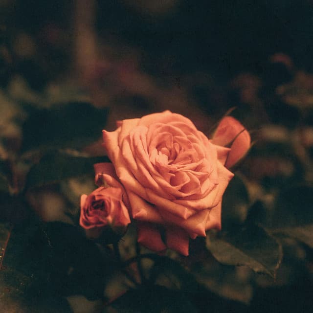 Love Classics cover art