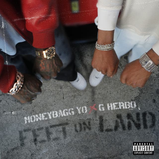 Feet On Land cover art