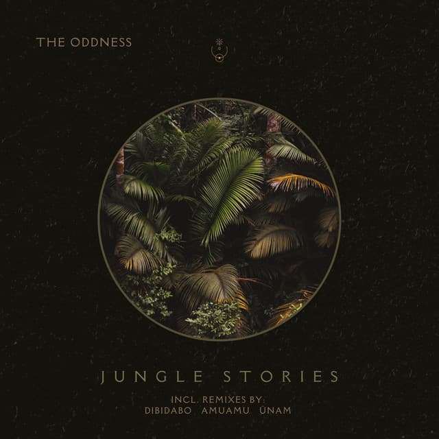 Jungle Stories - DIBIDABO Remix cover art