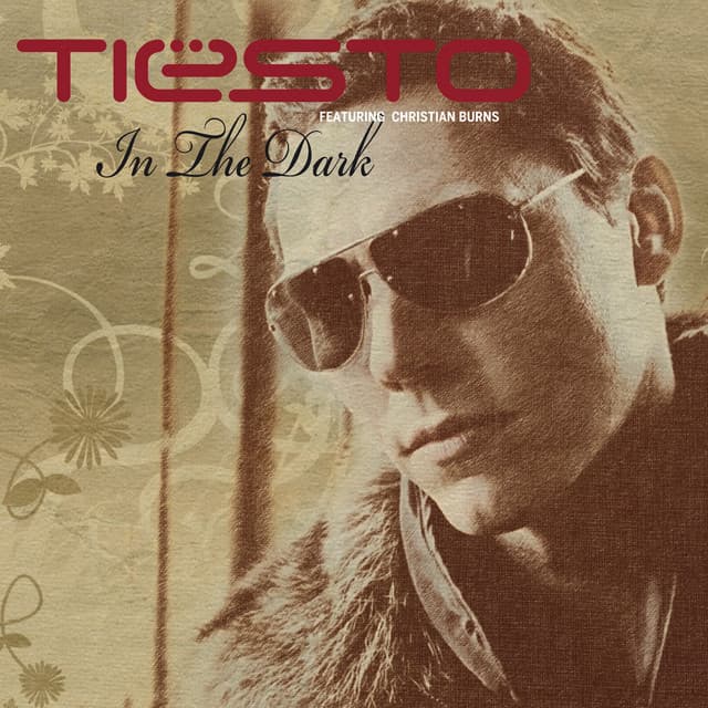 In The Dark (feat. Christian Burns) cover art