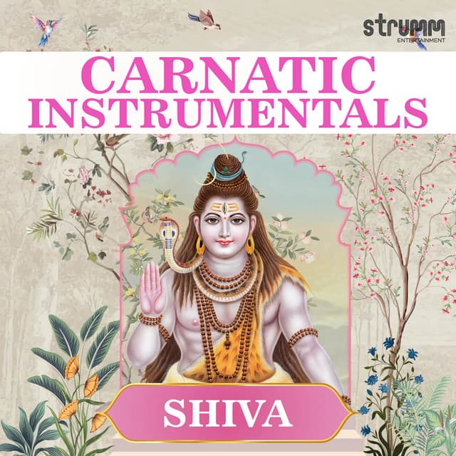 Aadum Chidambaramo (Instrumental) cover art
