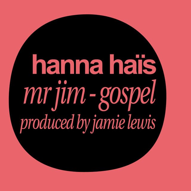 Mr jim - Jamie Lewis Darkroom Dub cover art