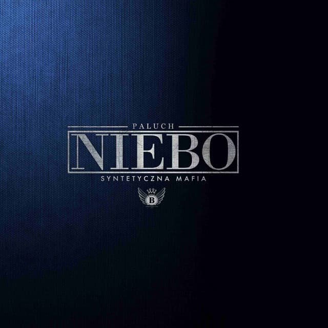 Miejski Delikates cover art