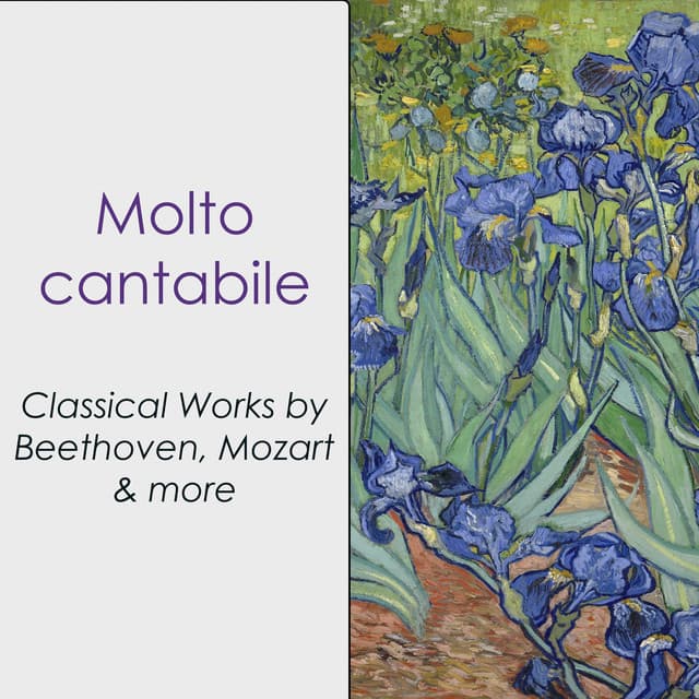 "Molto cantabile- Classical Works by Beethoven, Mozart & more" cover art