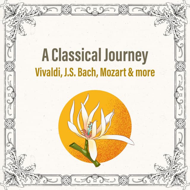 6 Variations for Violin and Piano on "Hélas, j'ai perdu mon amant", K. 360: Theme. Andantino cover art