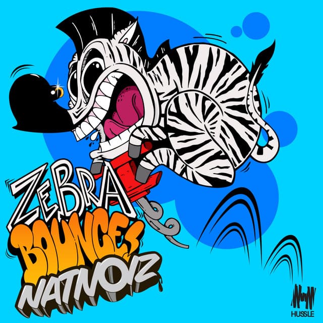 Zebra Bounce cover art