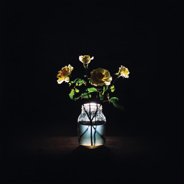 Renewal cover art