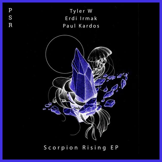 Scorpion Rising - Erdi Irmak Remix cover art