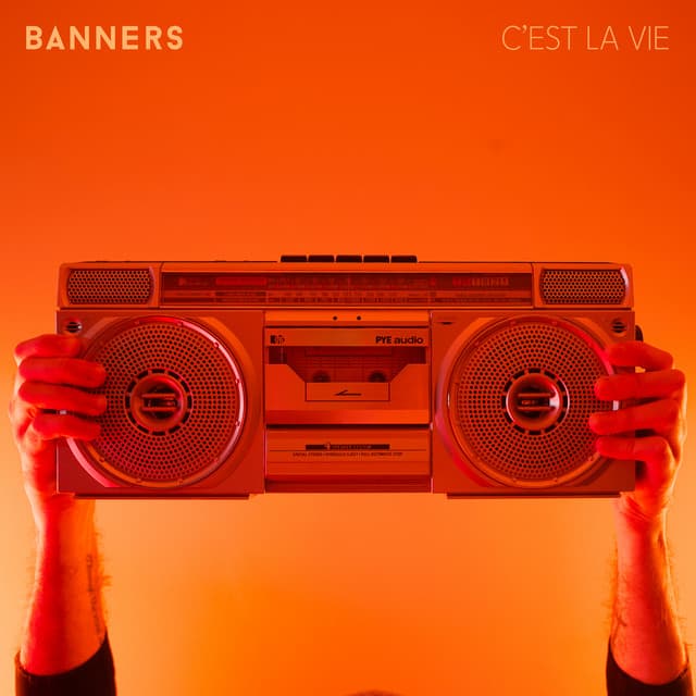 C'est La Vie cover art
