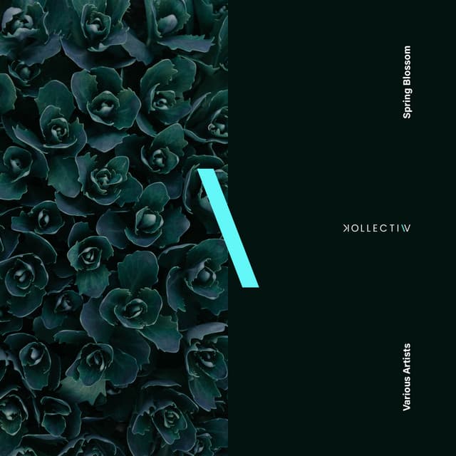 Within & Without cover art