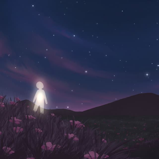 Soul Searching cover art