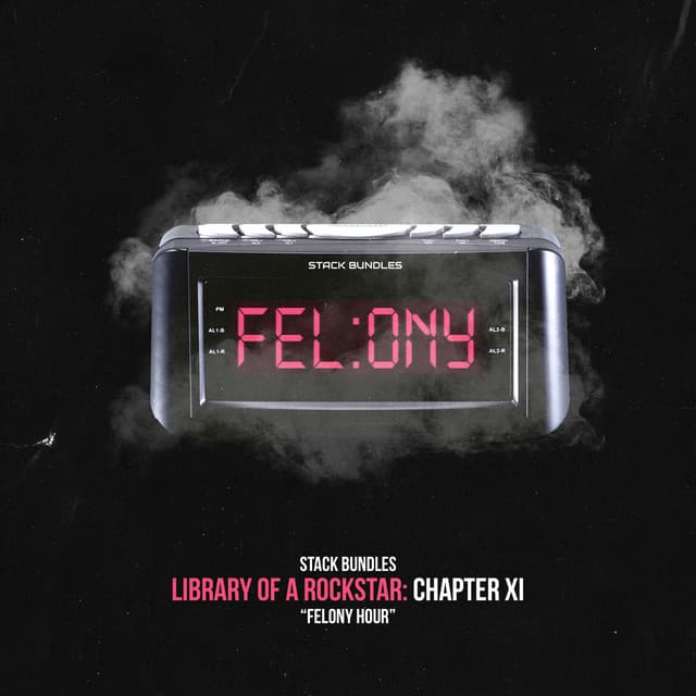 Library of a Rockstar: Chapter 11 - Felony Hour cover art