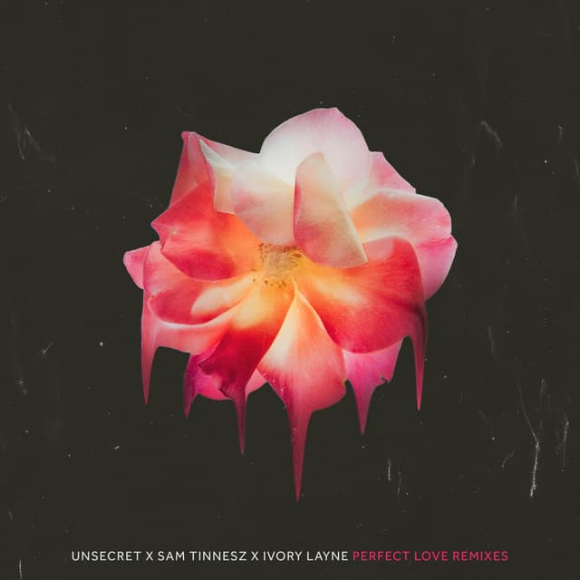 Perfect Love - Nevada Remix cover art
