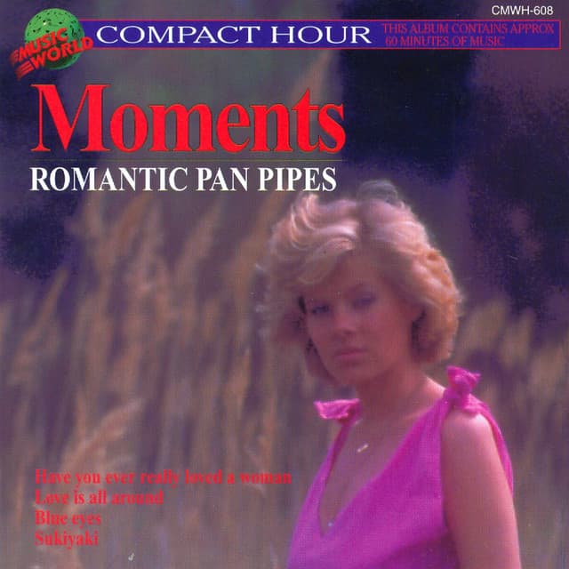 Have You Ever Really Loved A Woman cover art