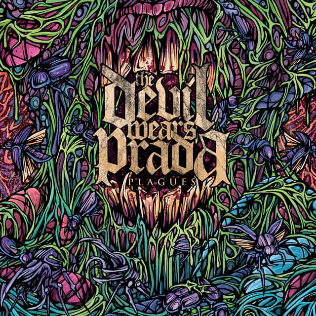 Hey John, What's Your Name Again? cover art