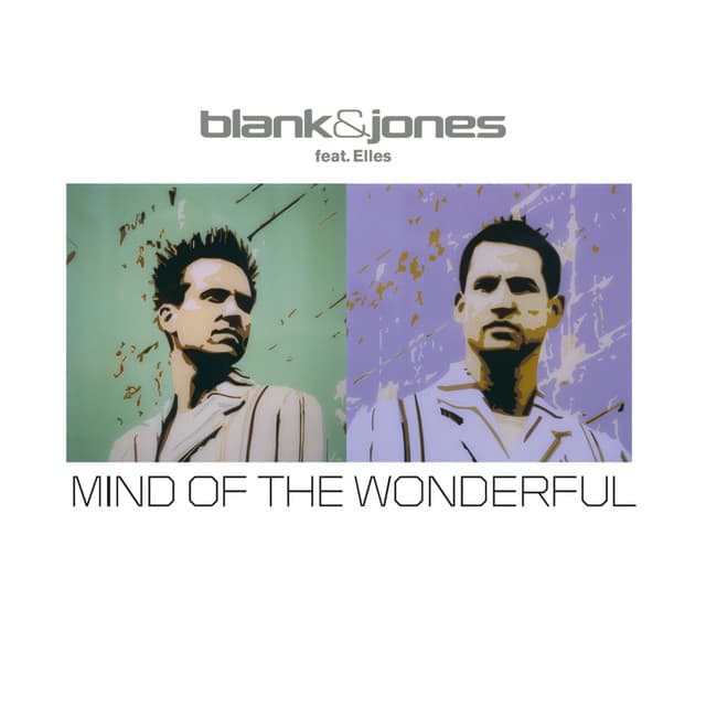 Mind of the Wonderful - Martin Roth Remix V1 cover art
