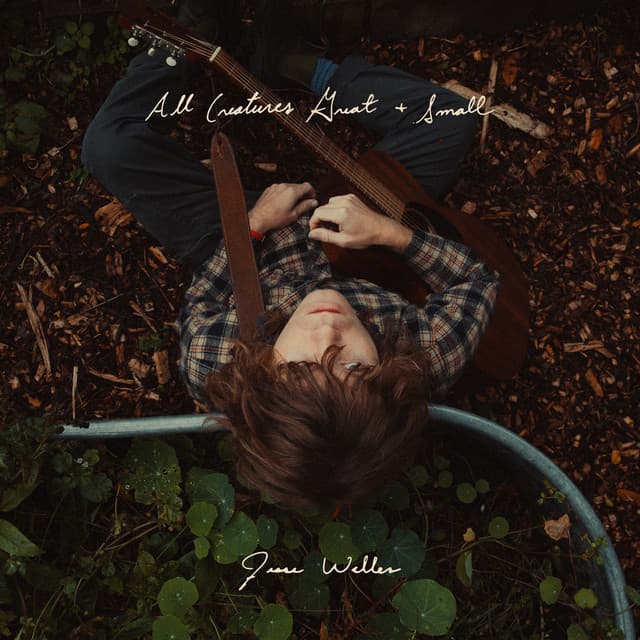 All Creatures Great and Small cover art