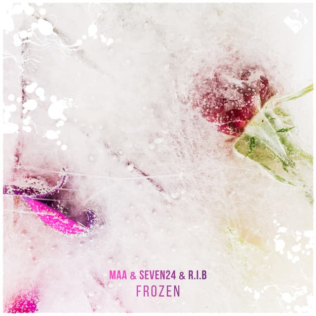 Frozen - S.A.T Remix cover art