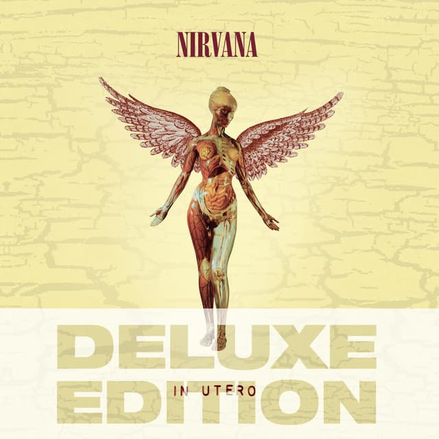 Rape Me cover art