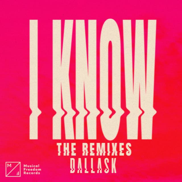 I Know - DLMT Extended Remix cover art