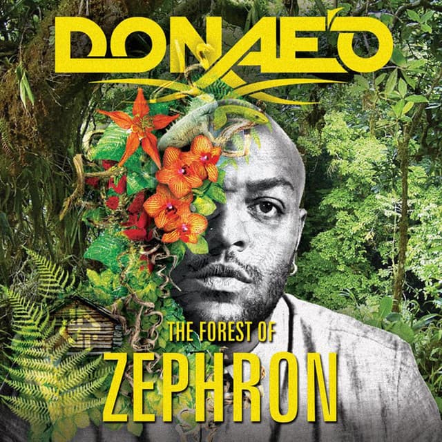 Fire cover art