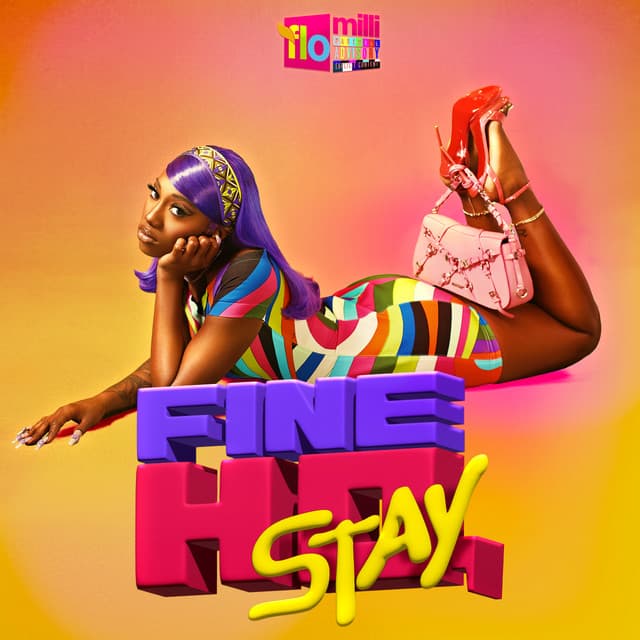 Fine Ho, Stay cover art