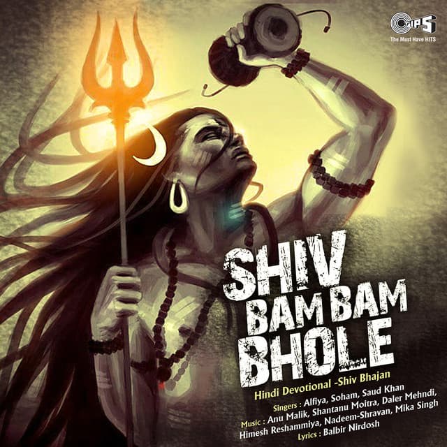 Hum Hai Tere Dar Ke Jogi cover art