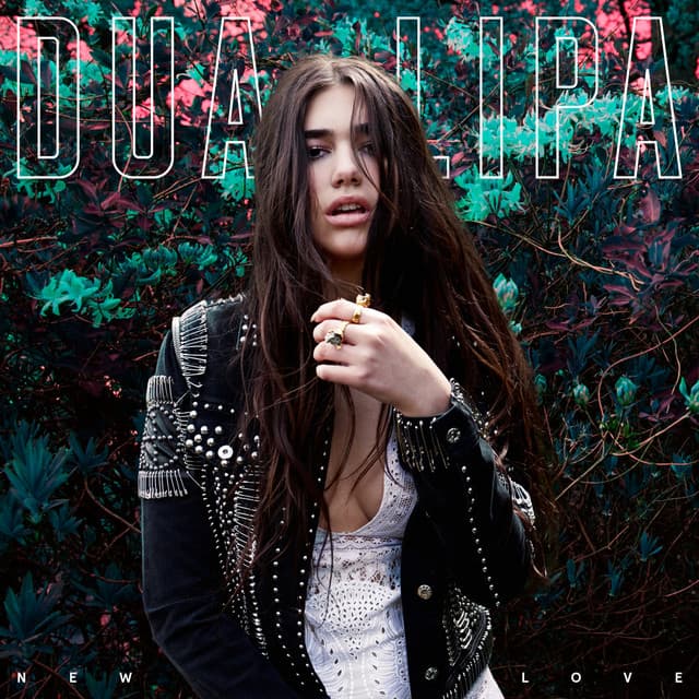 New Love (Remixes) cover art