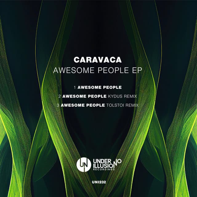 Awesome People - Tolstoi Remix cover art