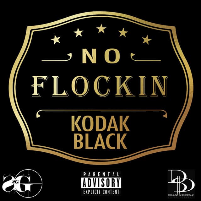 No Flockin' cover art