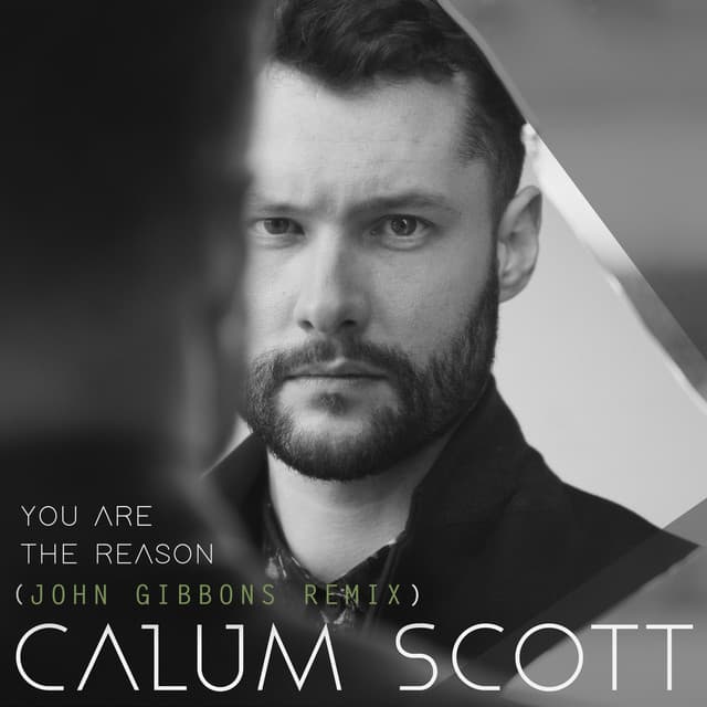 You Are The Reason - John Gibbons Remix cover art
