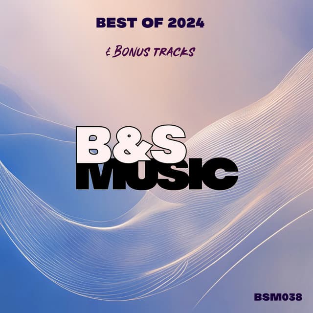 Best Of 2024 & Bonus Tracks cover art