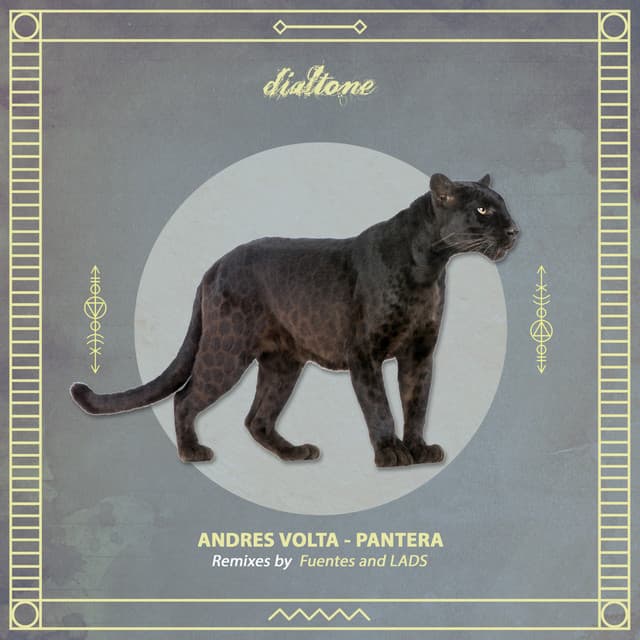 Pantera cover art