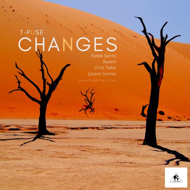 Changes - Ruveni Remix cover art
