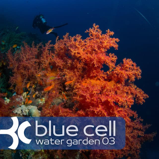 Water Garden 3 (DJ Mix) cover art