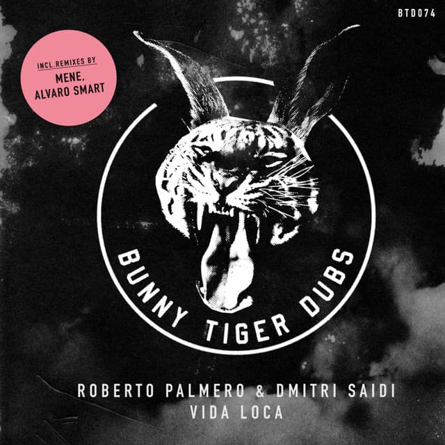 Vida Loca cover art