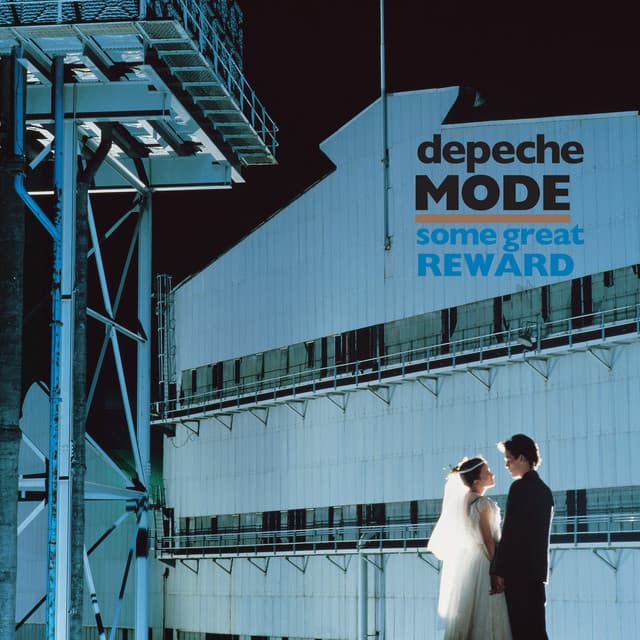 Some Great Reward (Deluxe) cover art