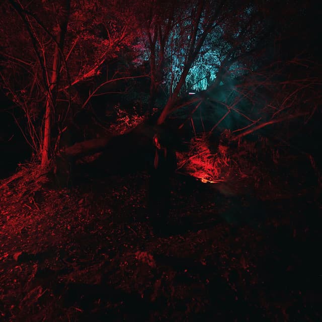 KAMELEON cover art