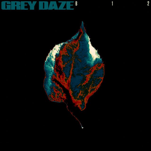 B12 cover art