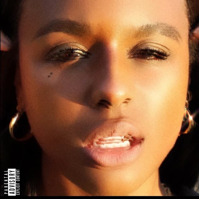 f**k it i'll do it myself cover art