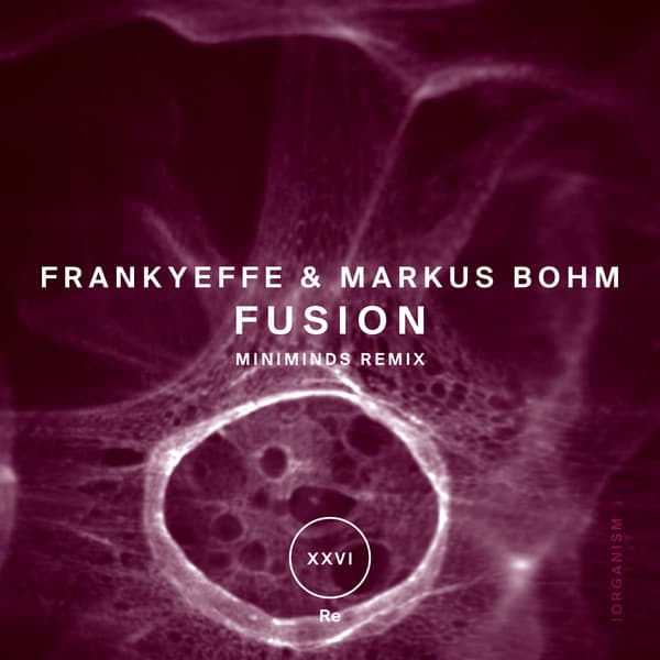 Fusion - Original Mix cover art