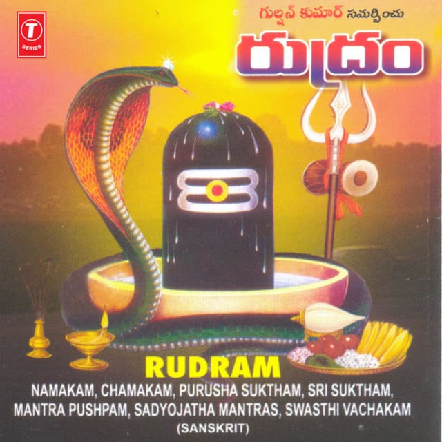 J. Purshotham Sai