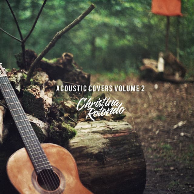 Acoustic Covers, Vol. 2 cover art