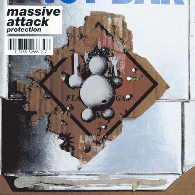 Protection cover art